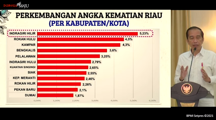 Jokowi: Panglima TNI dan Kapolri Sudah Perintahkan Pangdam dan Kapolda Dua Minggu Covid-19 di Riau Harus Turun