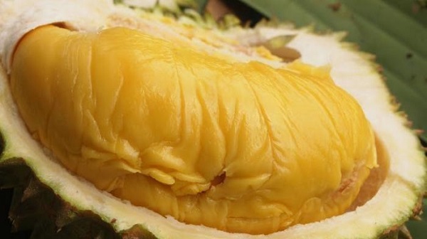 Makan Durian, Jangan Dibuang Bijinya, Ini Manfaatnya Bagi Kesehatan...