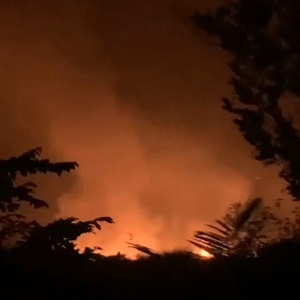 Kebakaran lahan Sawah masyarakat di pulau panjang hulu kecamatan inuman