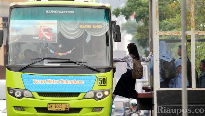 14 Unit Bus TMP Layani Koridor I Pelita Pantai-Pandau Permai