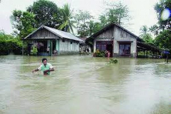 Ratusan Rumah di Kampar Kiri Terendam Banjir, 618 KK Butuh Bantuan