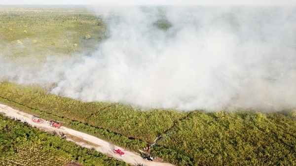 4 Hektare Lahan Gambut Terbakar di Sungai Alam Bengkalis, Upaya Pemadaman Masih Dilakukan...