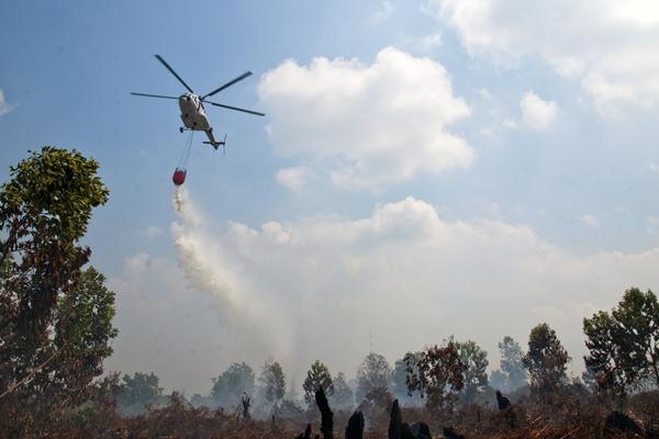 Enam Hektare Lahan Kampus Universitas Riau Terbakar