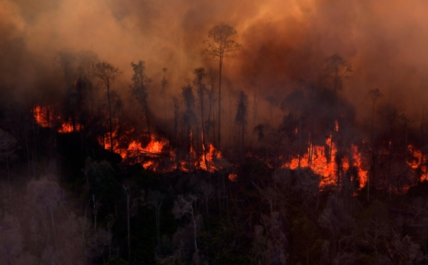Satgas Karhutla Tangkap Pembakar Hutan Lindung Bukit Suligi