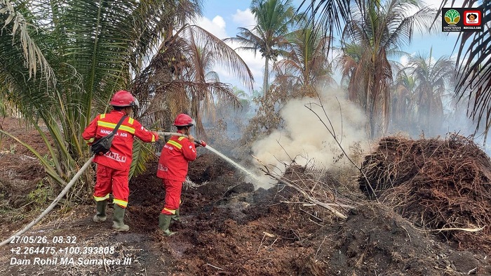 Tim Manggala Agni Berjibaku Padamkan Karhutla di Pasir Limau Kapas dan Kandis