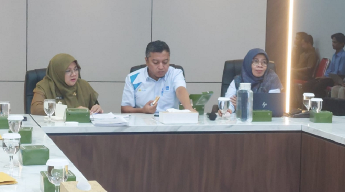 Tuntaskan Listrik Hingga Pelosok Kampung, Bupati Afni Temui Manajemen PLN UP3