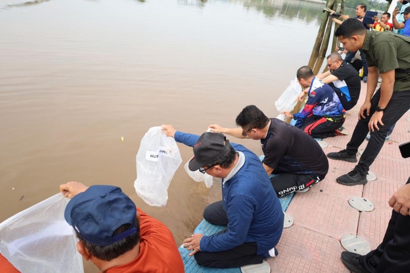 Pemkab Siak Tabur 20 Ribu Benih Patin di  Sungai Siak