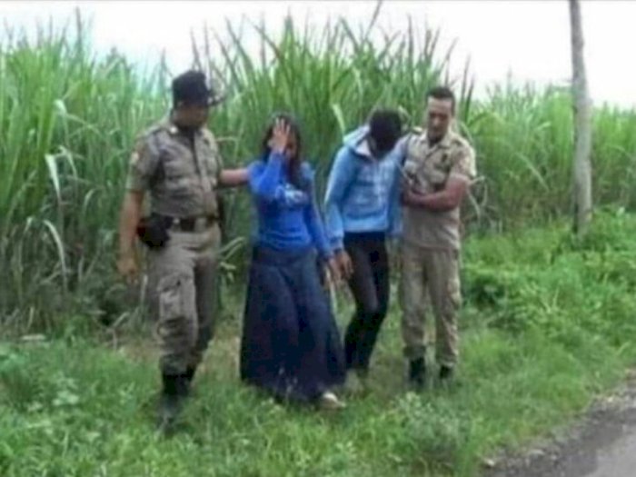Duh! Pasangan Muda Mudi Ditangkap Satpol PP Diduga Usai 'Mencoblos' di Kebun Tebu, netizen: Sepertinya Salah TPS Nih?