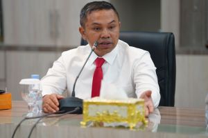 Gubernur Riau Tegaskan Budaya Bukan Sekadar Pertunjukan, Tapi Identitas Bangsa