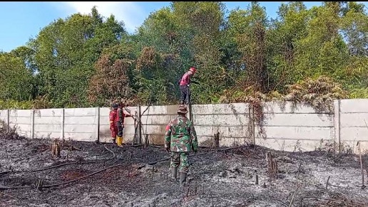 Perjuangan Melawan Api di Kampar, Lahan Gambut Terindikasi Sengaja Dibakar