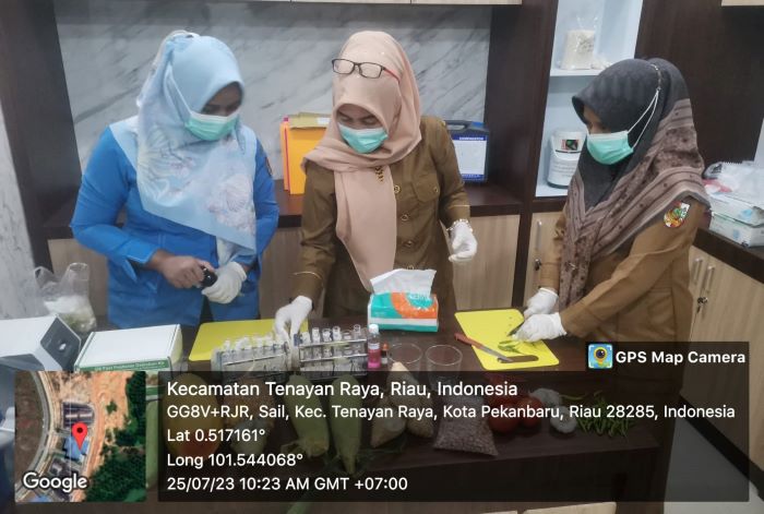 Disketapang Lakukan Uji Residu Sejumlah Komoditas Tumbuhan di Pasar Sail
