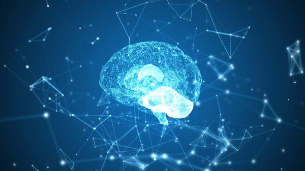 Alquran Ungkap Fakta Mengagumkan Dialami Otak Manusia pada Usia 40 Tahun
