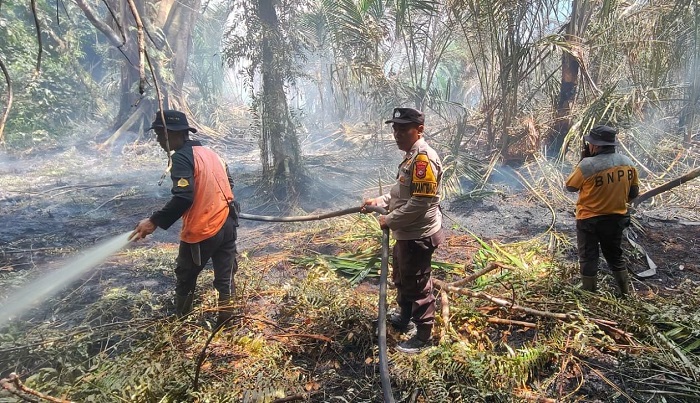 Tim Gabungan Perangi Karhutla di Tiga Lokasi di Bengkalis