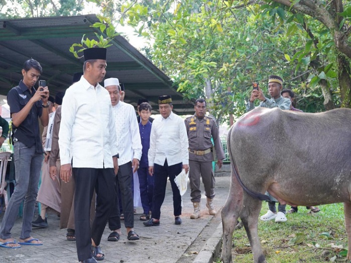 Bupati Kampar Tinjau Posko Kurban di Berbagai Titik