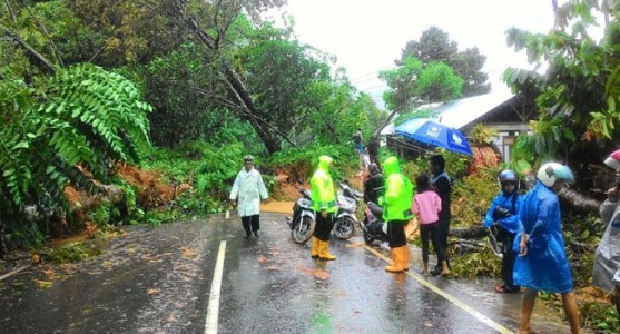 Longsor dan Pohon Tumbang Pagi Tadi, Jalan Padang–Painan Sekarang Putus
