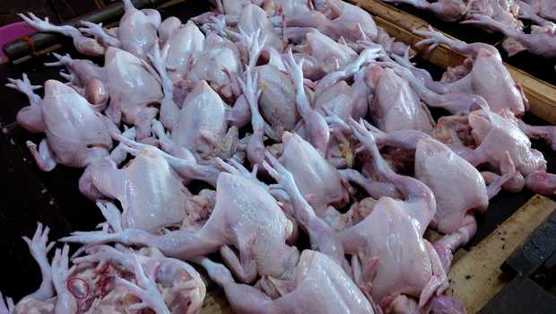 Harga Ayam Potong  dan Telur di Pekanbaru  Mulai  Alami Kenaikan