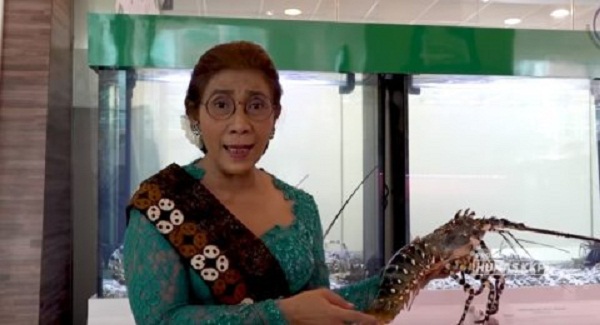 Sebut di Dunia Ini Cuma Indonesia yang Jual Benih Lobster, Susi Pudjiastuti: Saya Menangis karena Saya Tahu