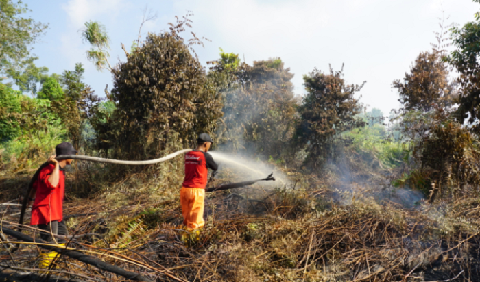 Belasan Hektare Lahan Gambut di Pulau Rupat Bengkalis Terbakar