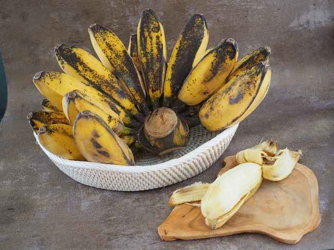 Manfaat Pisang Kepok yang Sayang untuk Dilewatkan