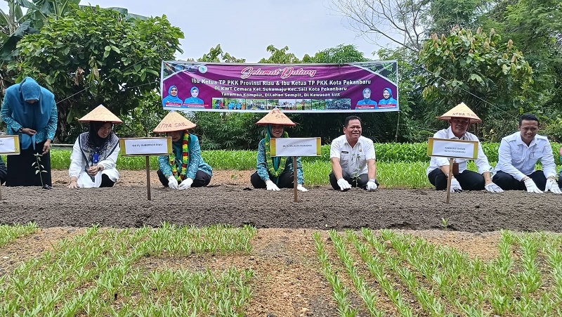 Distankan Pekanbaru Mapping Potensi Pertanian Jelang Pemberian Makan Siang Bergizi