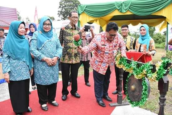 Pencanangan PKK KB-Kes Riau Dipusatkan di Kampar Utara