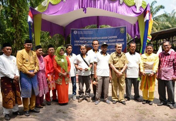 Genjot Produksi Sapi, Pemkab Siak MoU dengan BI Riau