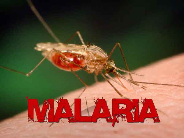 WASPADA... Sudah 23 Sialang Jaya di Rohul Terjangkit Malaria
