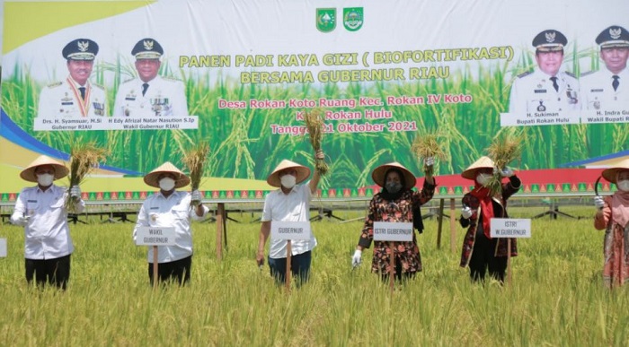 Syamsuar: Di Sini, Tidak Makan Nasi Namanya Tak Makan...
