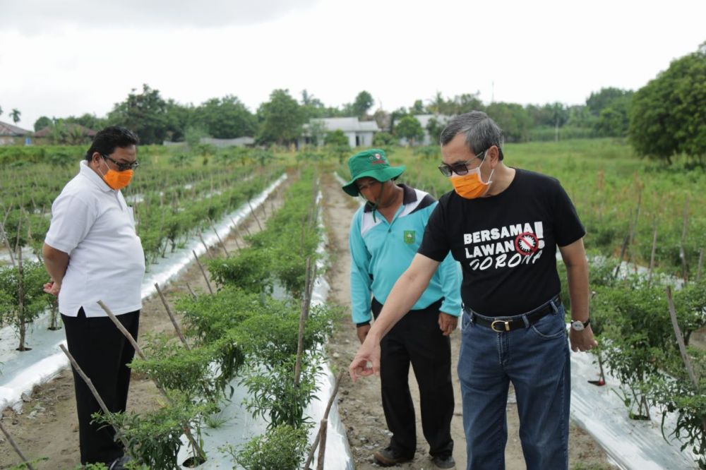 Punya Lahan Kosong, Gubri Minta Masyarakat Bercocok Tanam