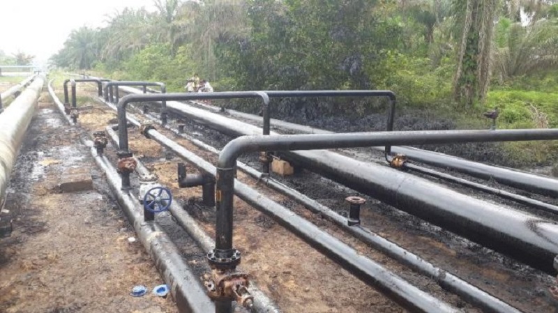 Polisi Selidiki Kebocoran Pipa Minyak Chevron di Bathin Solapan