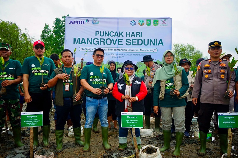 RAPP dan Masyarakat Tanam 2.000 Bibit Mangrove di Bagan Melibur