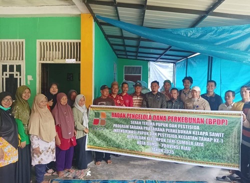 DKPP Tekad Sektor Perkebunan di Kota Dumai Semakin Optimal