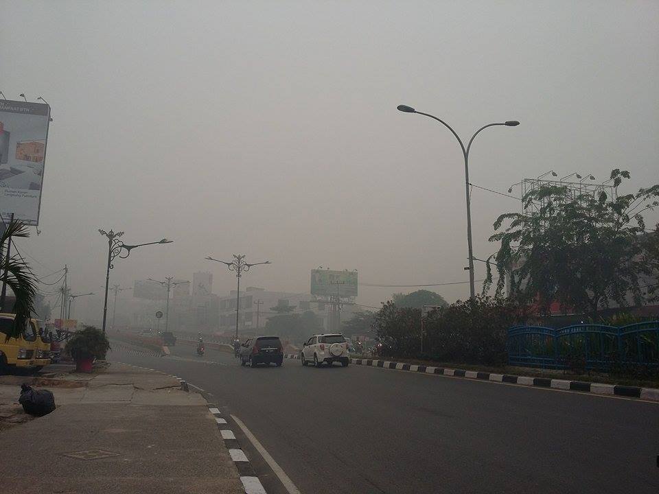 Ngeri... Ini Dampak kabut  Asap Menurut Pakar Pencemaran Udara