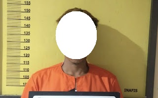 Di Duga Cabuli Anak Majikan, Buruh Panen Sawit Diamankan Polisi