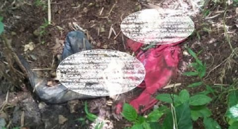 Heboh! Kerangka Mayat Perempuan Ditemukan di Semak-semak, Berambut Panjang, Bersarung Tangan Ungu