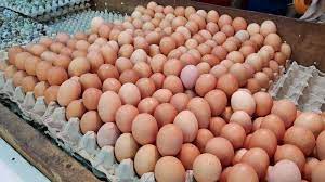 Telur Ayam Pimpin Kenaikan Harga Bahan Pokok Pekan Ini