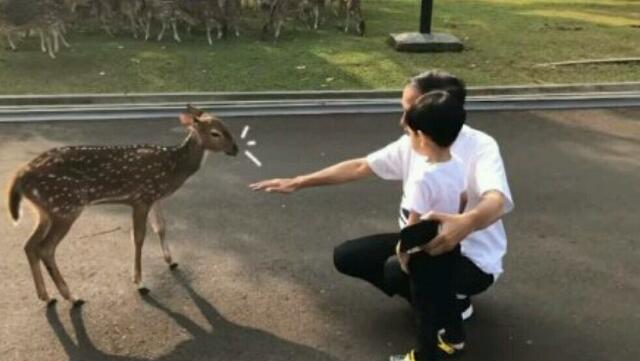 Kritik Keras Vlog Jokowi Bareng Cucu di Saat Bencana Karhutla, Ferdinand: KSP Dibubarkan Saja, Tak Jelas Fungsinya!