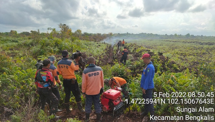 Kebakaran Lahan di Sungai Alam Bengkalis Berhasil Dipadamkan