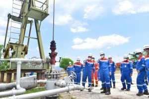 Harga Minyak Dunia Naik, ICP Januari 2025 Dipatok USD76,81 Perbarel