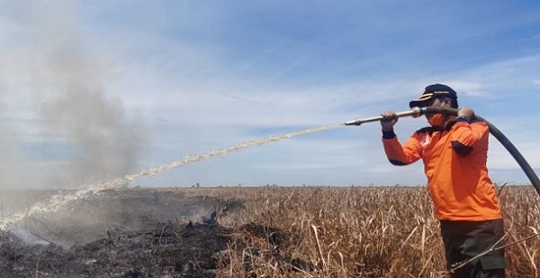 WARNING! Masih Awal Tahun, Luas Lahan terbakar di Riau Sudah 91,46  Hektare, Terluas di Bengkalis