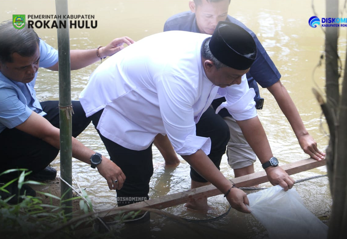 Bupati Anton Hadiri Penutupan Lubuk Larangan dan Serahkan Ribuan Bibit Ikan di Desa Kabun