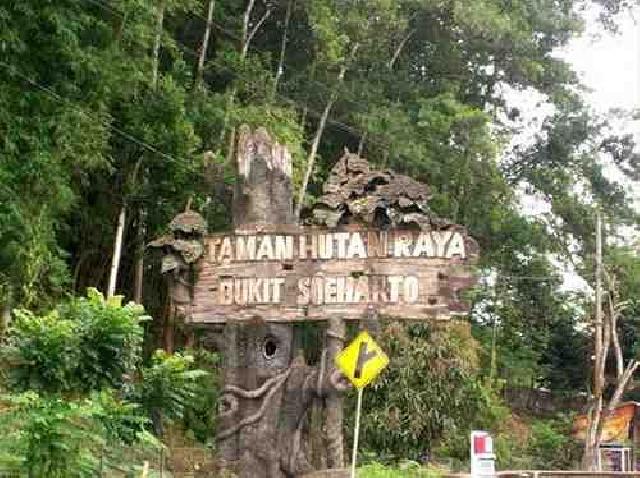 Genjot Pariwisata Riau, Disparekraf Promosikan Tahura SSH