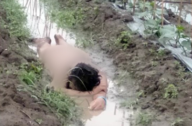 Geger! Seorang Wanita Ditemukan Tewas Tanpa Busana di Ladang Timun, Mulut BerbuihÂ 