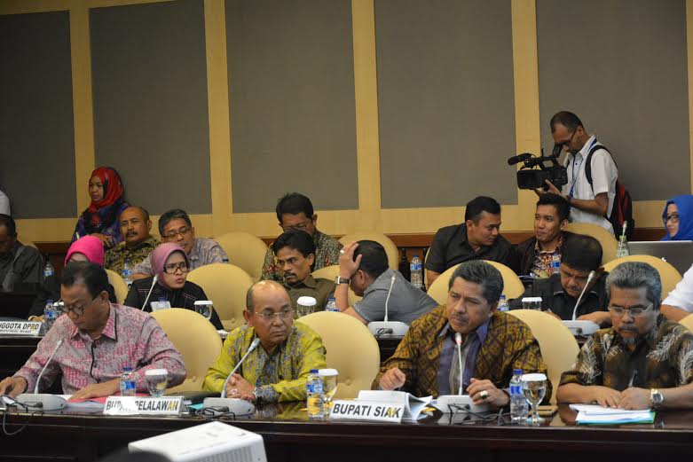 Rapat RTRW, Alfedri: Tujuh Desa di Siak Masuk dalam Kawasan Hutan