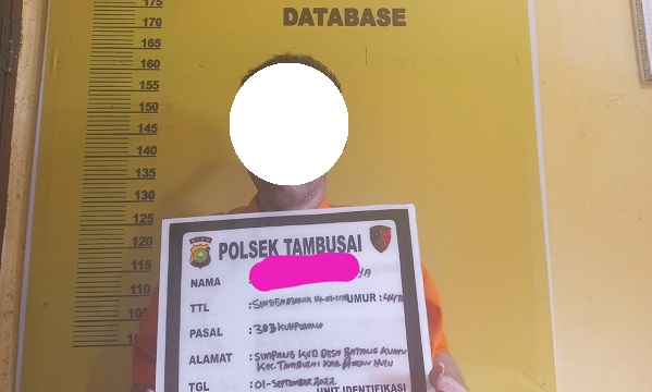 Polsek Tambusai  Tangkap Tersangka Judi Ikan-ikan
