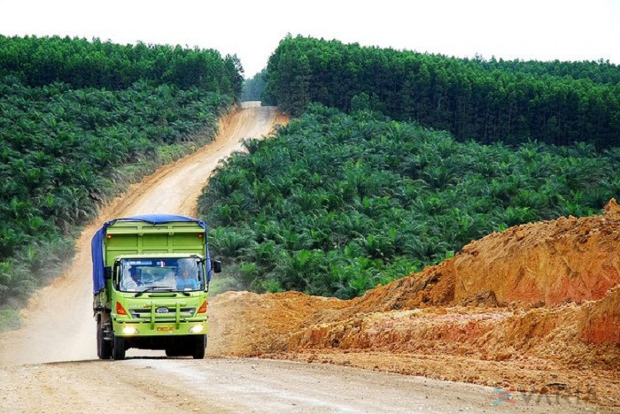 Harga TBS Kelapa Sawit Kemitraan Swadaya di Riau  Periode 16 – 22 Oktober 2024