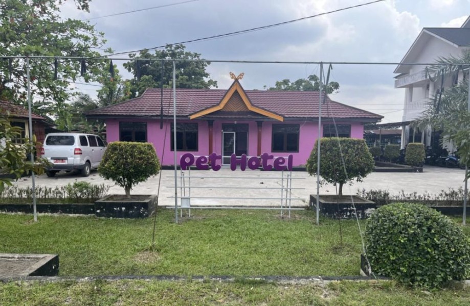 Inovasi Baru! Dinas PKH Riau Sulap Klinik Hewan Jadi Pet Hotel Bintang 5