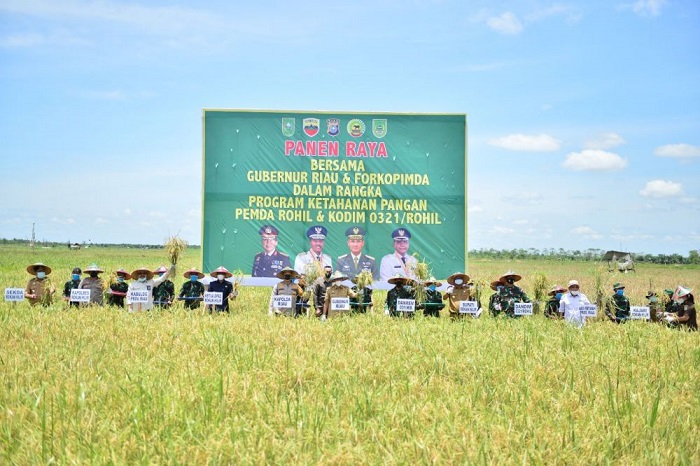 Danrem 031/WB Sebut Pengelolaan Padi di Rohil Tanpa Menggunakan Pupuk Kimia