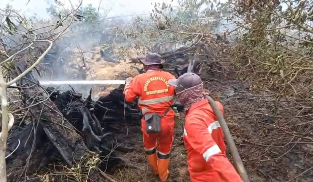 Manggala Agni Tangani Ribuan Hektare Karhutla di Riau, Sejumlah Titik Masih Membara