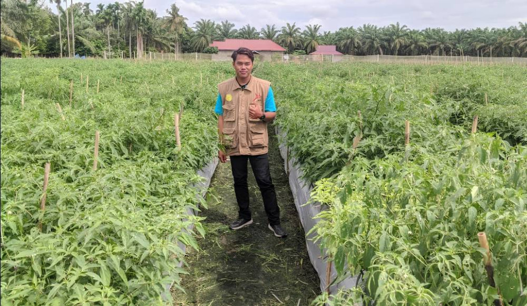 Mas Wiyono, Duta Petani Milenial Angkatan I Asal Kota Dumai
